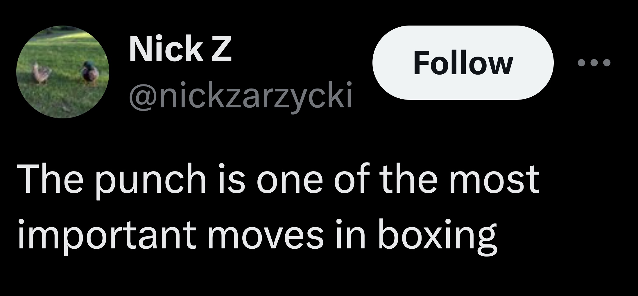 tree - Nick Z The punch is one of the most important moves in boxing